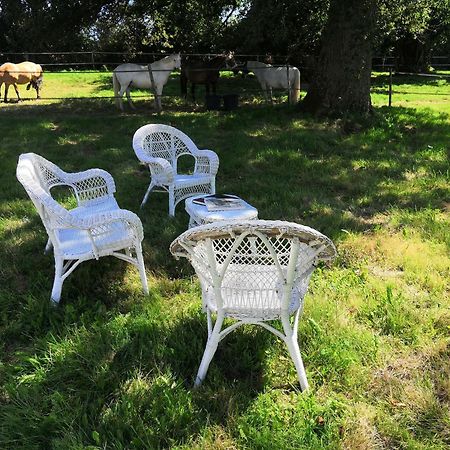 Bed and Breakfast La Marquise Penchee à Orsennes Extérieur photo